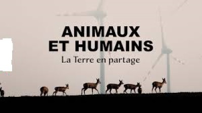 Animaux et humains, la Terre en partage