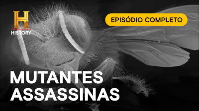 Abelhas Mutantes - EPISÓDIO COMPLETO: MONSTERQUEST | HISTORY