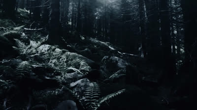 de la tour™ "luz natural"