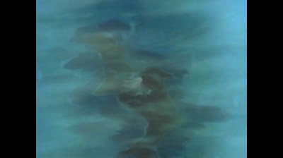 Gatchaman 1972 38 Le Foche Di Sytron