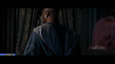 Herry potter e a Orden da Fenix (dublado)