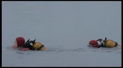 La Blonde au Bois Dormant       2006