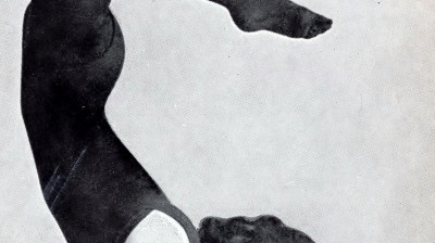 La Balada Del Paquete