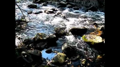 Lonely Wolf-Magic Fields(official video) piano