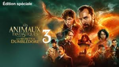 Les Animaux fantastiques 3 Les Secrets de Dumbledore (2022)  VF