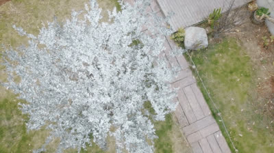 azan & Song Ran You Are The Music In Me