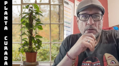 PLANTA CURADA : ESPÍRITO GUARDIÃO Tajá, Jiboia | encantados | piaga | taja | Série Proteção 03