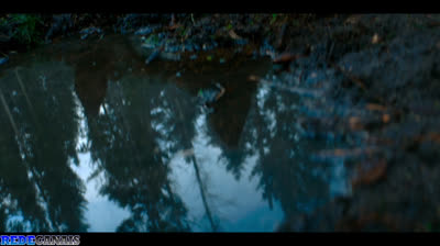 Elfos - 1ª Temporada - Episódio 01 - A Ilha