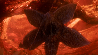 Stranger Things T5E3 - A Armadilha