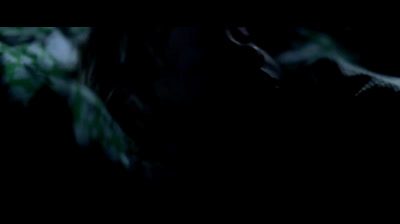 Contatos Imediatos do Terceiro Grau