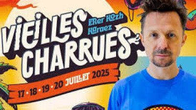 Martin Solveig aux Vieilles Charrues 2025