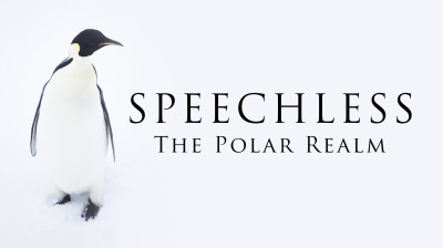 Speechless: Viaje visual al reino polar con Richard Sidey - Documental