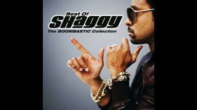 Shaggy - Church Heathen (short version refrain)
