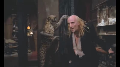 Rocky Horror Picture Show - The Time Warp