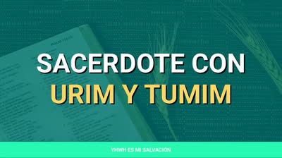 ️Jesús, el sacerdote con Urim y Tumim | Éxodo 28:30