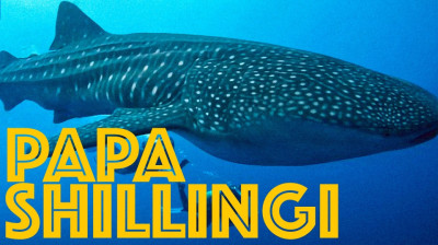Papa Shillingi | Volker Bassen e os gigantes do mar - Documentário