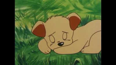 Bun Bun - 13 - Sulle tracce di mamma