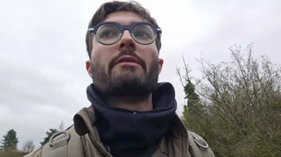 Je ballade mes chiens à la Perthe