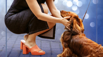 le coeur en laisse (2025)