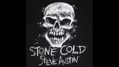 Stone cold  Steve Austin theme song!!