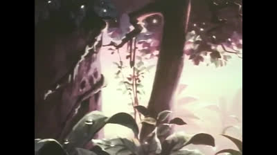 Il Ritorno Dell Ape Maga 08 La Zietta