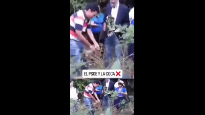 Se filtró un video de Zapatero en un sembradío de coca, viendo como se produce.