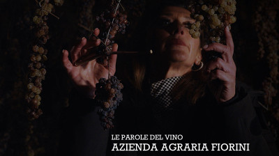 The Words of Wine · Tradition viticole dans les Marches - Documentaire