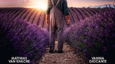 valensole 1965 (2025)