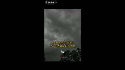 UM BURRO DISSE : __A GRAMA É AZUL !!!