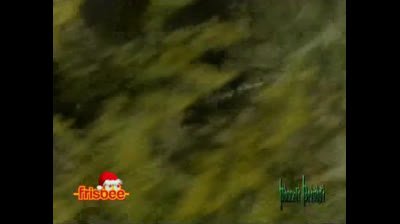 Piccoli Brividi 1995 01x12 Il mistero dello scienziato pazzo parte 1