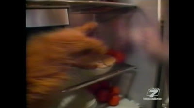 Alf - 1x14 - La telenovela