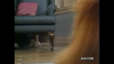 Alf - 1x16 - L amnesia - parte 1