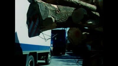 Les hommes de Rose - épisode 4_ L'homme du malheur