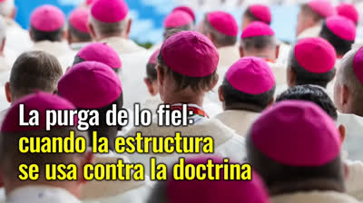 ¡Alerta! La Virgen revela los lobos vestidos de oveja en la Iglesia