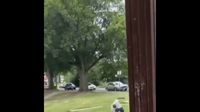 Grandes o pequeños van de cabeza a por los blancos y no son aptos para la sociedad civilizada!