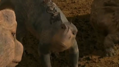 The Dino Prince of Egypt part 2