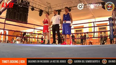 Guerra en el Semidesierto II