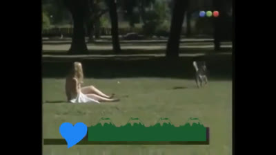 Pegadinha do Cachorro