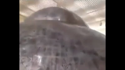 Dècouverte étonnante