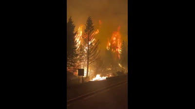 Javier Milei  el que salvaría a su país del globalismo igual que dice vox? Convirtió a la Patagonia en el infierno.