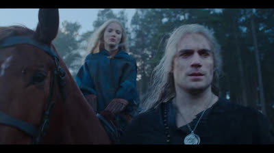 The witcher 21
