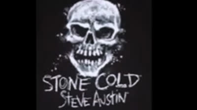 Steve austin