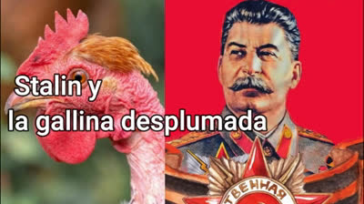 LA HISTORIA DE LA GALLINA Y STALIN... ¡ESTO HACEN LOS SOCIALISTAS/CONUNISTAS CON SUS PROPIOS PUEBLOS!