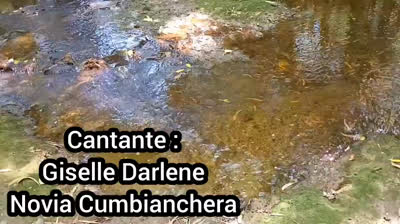 CAMINANDO A TU LADO (CANCION)