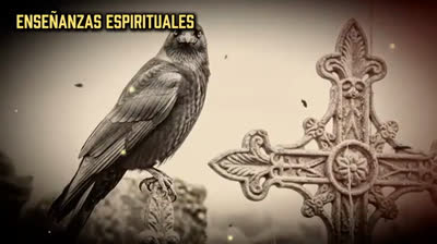 5 ANIMALES QUE APARECEN CUANDO UN HIJO SE ALEJA DE DIOS Y ESTÁ EN PELIGRO — ¡SANTA TERESA LO REVELÓ!